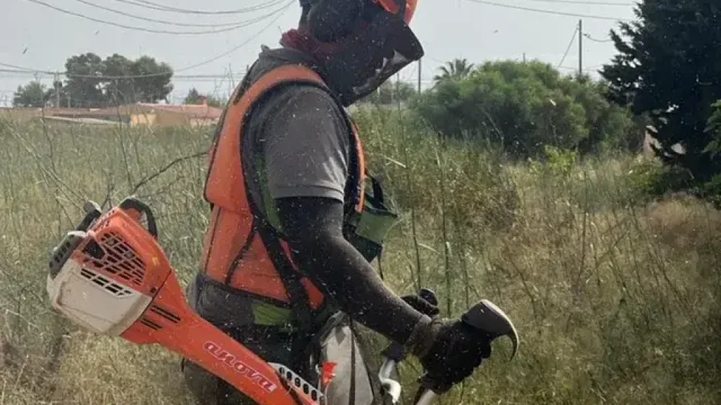 Desbroce de terrenos para tu parcela